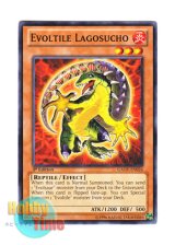 画像: 英語版 GAOV-EN026 Evoltile Lagosucho エヴォルド・ラゴスクス (ノーマル) 1st Edition