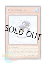 画像: 英語版 ABYR-EN037 Puny Penguin 子型ペンギン (ノーマル) 1st Edition