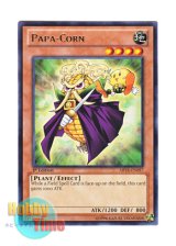 画像: 英語版 ABYR-EN097 Papa-Corn オヤコーン (レア) 1st Edition