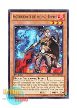 画像: 英語版 LTGY-EN027 Brotherhood of the Fire Fist - Leopard 速炎星－タイヒョウ (ノーマル) 1st Edition