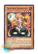 画像: 英語版 JOTL-EN034 Traptrix Nepenthes カズーラの蟲惑魔 (ノーマル) 1st Edition