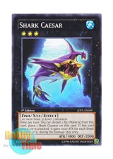 画像: 英語版 JOTL-EN049 Shark Caesar 牙鮫帝シャーク・カイゼル (ノーマル) 1st Edition