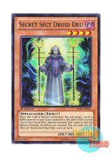 画像: 英語版 SHSP-EN009 Secret Sect Druid Dru 暗躍のドルイド・ドリュース (ノーマル) 1st Edition