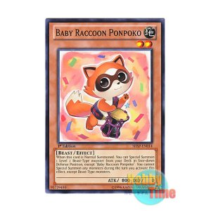 画像: 英語版 SHSP-EN014 Baby Raccoon Ponpoko 子狸ぽんぽこ (ノーマル) 1st Edition