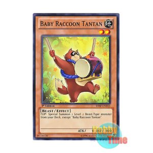 画像: 英語版 SHSP-EN015 Baby Raccoon Tantan 子狸たんたん (ノーマル) 1st Edition