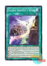 画像: 英語版 SHSP-EN068 Sacred Serpent's Wake 聖蛇の息吹 (ノーマル) 1st Edition