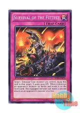 画像: 英語版 SHSP-EN079 Survival of the Fittest 生存競争 (ノーマル) 1st Edition