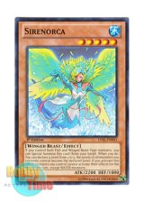 画像: 英語版 LVAL-EN041 Sirenorca 霊水鳥シレーヌ・オルカ (ノーマル) 1st Edition