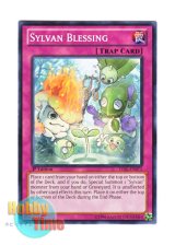 画像: 英語版 LVAL-EN073 Sylvan Blessing 森羅の恵み (ノーマル) 1st Edition