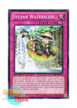 画像: 英語版 PRIO-EN073 Sylvan Waterslide 森羅の滝滑り (ノーマル) 1st Edition