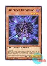 画像: 英語版 DUEA-EN024 Shaddoll Hedgehog シャドール・ヘッジホッグ (ノーマル) 1st Edition