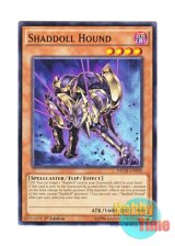 画像: 英語版 NECH-EN030 Shaddoll Hound シャドール・ハウンド (ノーマル) 1st Edition