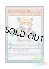 画像: 英語版 NECH-EN039 Rescue Hamster レスキューラット (スーパーレア) 1st Edition