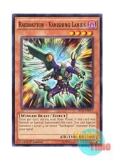 画像: 英語版 SECE-EN011 Raidraptor - Vanishing Lanius RR－バニシング・レイニアス (ノーマル) 1st Edition