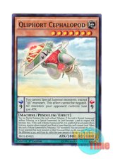 画像: 英語版 SECE-EN021 Qliphort Cephalopod クリフォート・アクセス (スーパーレア) 1st Edition