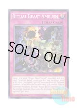 画像: 英語版 SECE-EN074 Ritual Beast Ambush 霊獣の騎襲 (ノーマル) 1st Edition