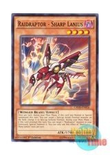 画像: 英語版 CROS-EN016 Raidraptor - Sharp Lanius RR－インペイル・レイニアス (ノーマル) 1st Edition