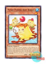 画像: 英語版 CROS-EN037 Putrid Pudding Body Buddies プリン隊 (ノーマル) 1st Edition