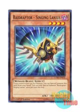 画像: 英語版 CORE-EN014 Raidraptor - Singing Lanius RR－シンギング・レイニアス (ノーマル) 1st Edition