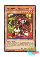 画像: 英語版 CORE-EN037 Aromage Bergamot アロマージ－ベルガモット (レア) 1st Edition