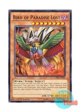 画像: 英語版 CORE-EN040 Bird of Paradise Lost 獄落鳥 (ノーマル) 1st Edition