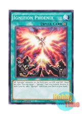 画像: 英語版 CORE-EN061 Ignition Phoenix イグニッションP (ノーマル) 1st Edition