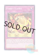 画像: 英語版 CORE-EN077 Ferret Flames イタチの大暴発 (ノーマル) 1st Edition