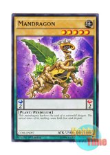 画像: 英語版 CORE-EN097 Mandragon マンドラゴン (レア) 1st Edition