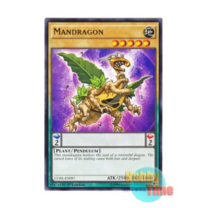 画像: 英語版 CORE-EN097 Mandragon マンドラゴン (レア) 1st Edition