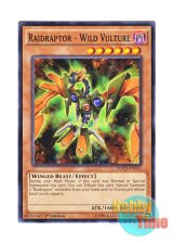 画像: 英語版 DOCS-EN013 Raidraptor - Wild Vulture RR－ワイルド・ヴァルチャー (ノーマル) 1st Edition