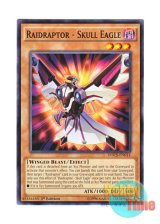 画像: 英語版 DOCS-EN014 Raidraptor - Skull Eagle RR－スカル・イーグル (ノーマル) 1st Edition