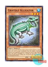 画像: 英語版 DOCS-EN033 Graydle Alligator グレイドル・アリゲーター (ノーマル) 1st Edition