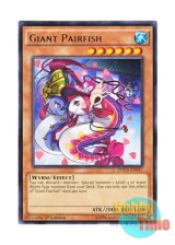 画像: 英語版 DOCS-EN037 Giant Pairfish 竜宮のツガイ (レア) 1st Edition