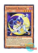 画像: 英語版 SHVI-EN008 Lunalight Blue Cat 月光蒼猫 (レア) 1st Edition