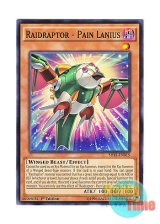 画像: 英語版 SHVI-EN015 Raidraptor - Pain Lanius RR－ペイン・レイニアス (ノーマル) 1st Edition