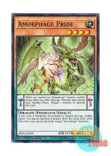 画像: 英語版 SHVI-EN029 Amorphage Pride アモルファージ・ヒュペル (ノーマル) 1st Edition