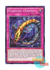 画像: 英語版 TDIL-EN097 Paleozoic Canadia バージェストマ・カナディア (ノーマル) 1st Edition