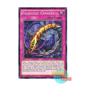 画像: 英語版 TDIL-EN097 Paleozoic Canadia バージェストマ・カナディア (ノーマル) 1st Edition