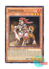 画像: 英語版 INOV-EN092 Caninetaur 犬タウルス (ノーマル) 1st Edition