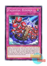 画像: 英語版 INOV-EN095 Paleozoic Eldonia バージェストマ・エルドニア (ノーマル) 1st Edition