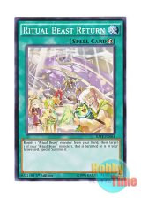 画像: 英語版 RATE-EN064 Ritual Beast Return 霊獣の誓還 (ノーマル) 1st Edition