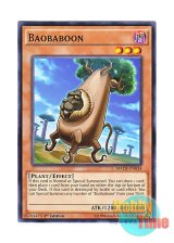 画像: 英語版 MACR-EN034 Baobaboon バオバブーン (ノーマル) 1st Edition