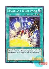 画像: 英語版 MACR-EN049 Magician's Right Hand 魔術師の右手 (ノーマル) 1st Edition