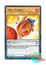 画像: 英語版 MACR-EN095 Mild Turkey マイルド・ターキー (ノーマル) 1st Edition