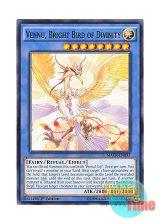 画像: 英語版 MACR-EN097 Vennu, Bright Bird of Divinity 輝神鳥ヴェーヌ (ノーマル) 1st Edition