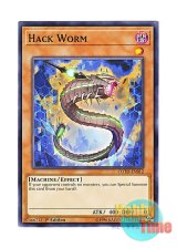 画像: 英語版 COTD-EN012 Hack Worm ハック・ワーム (ノーマル) 1st Edition