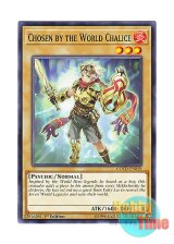 画像: 英語版 COTD-EN019 Chosen by the World Chalice 星杯に選ばれし者 (ノーマル) 1st Edition