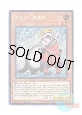 画像: 英語版 COTD-EN029 Rescue Ferret レスキューフェレット (シークレットレア) 1st Edition