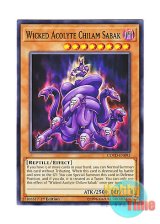 画像: 英語版 COTD-EN093 Wicked Acolyte Chilam Sabak 邪神官チラム・サバク (ノーマル) 1st Edition