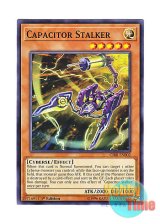 画像: 英語版 CIBR-EN002 Capacitor Stalker コンデンサー・デスストーカー (ノーマル) 1st Edition